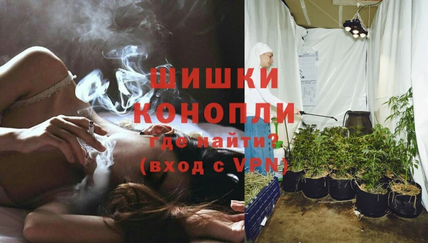 Альфа ПВП Белокуриха