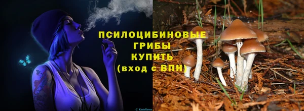 Альфа ПВП Белокуриха