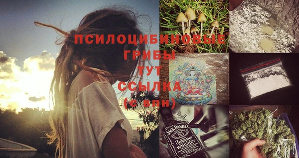 Альфа ПВП Белокуриха