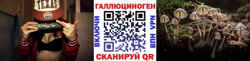 OMG ТОР  Кулебаки  Псилоцибиновые грибы прущие грибы 